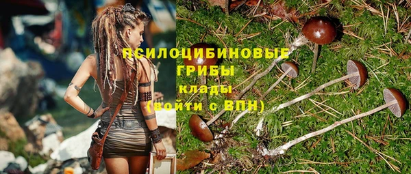 шишки Алексеевка
