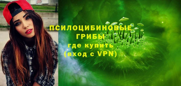 прущая мука Алзамай