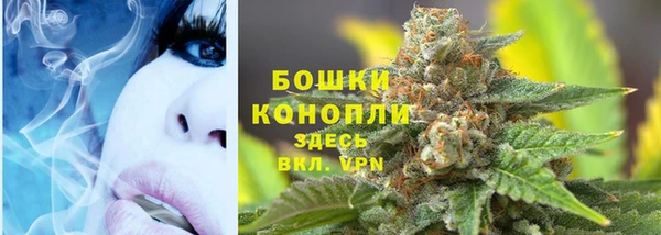 шишки Алексеевка