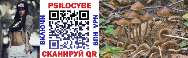 Псилоцибиновые грибы Psilocybine cubensis  Осташков 